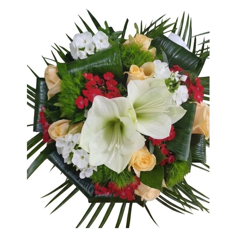 Amaryllis blanc & roses crème