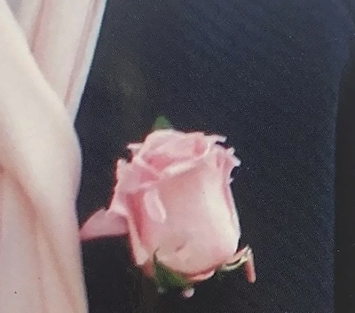 Boutonnière, rose rose