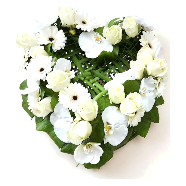 Cœur blanc