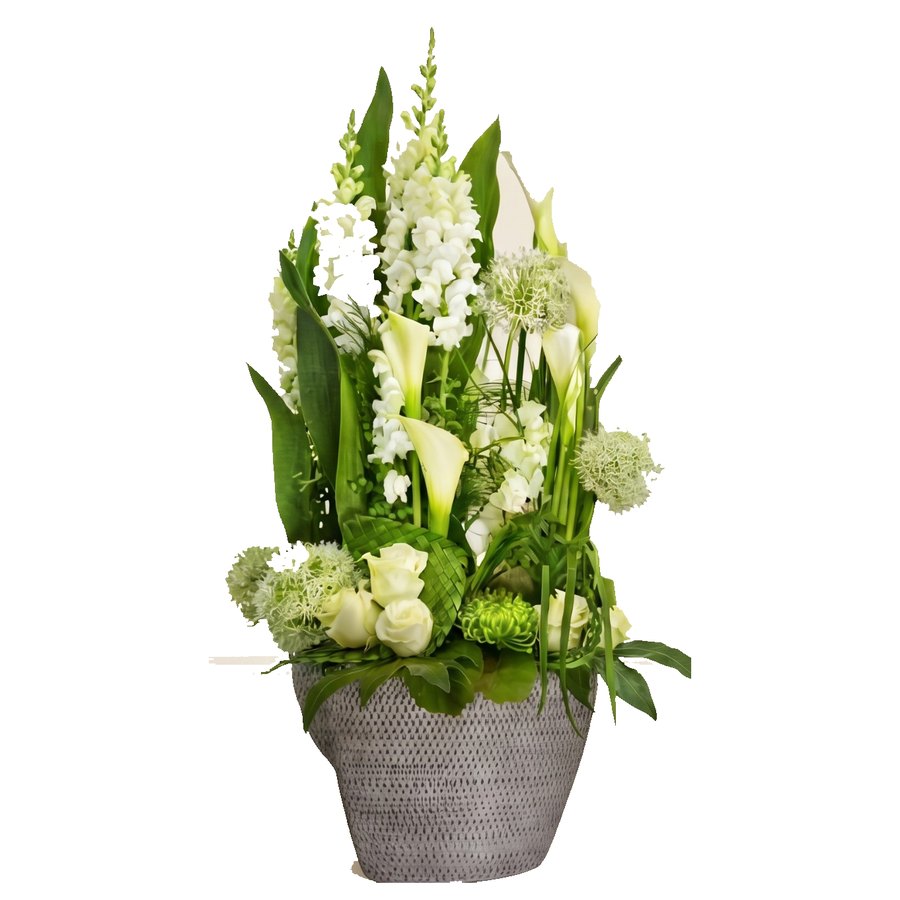 Callas & mufliers blancs