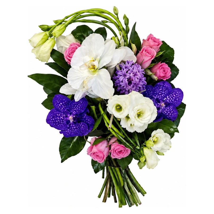 Orchidées blanches & violettes